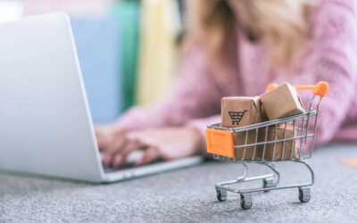 E-commerce SEO: Driving Sales and Conversions for Online Stores Results