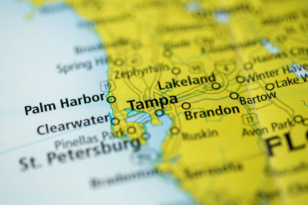 Local SEO Ideas That Can Help Your Business in Tampa, Florida