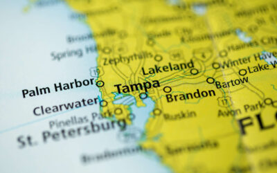 Dominate the Tampa Market: SEO Tactics That Will Drive Results